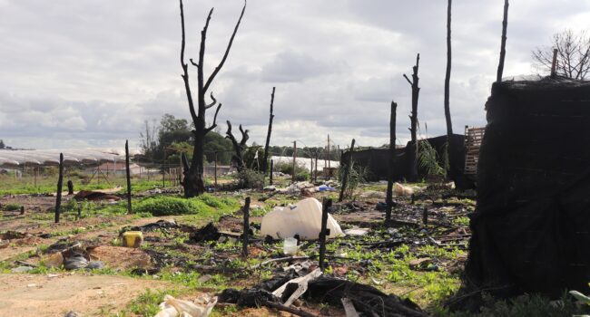 Salvemos Doñana denuncia que el abandono institucional mata en los asentamientos de Huelva