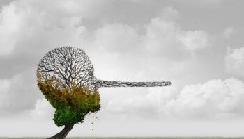 La desinformación climática y la disipación del riesgo