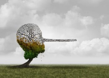 La desinformación climática y la disipación del riesgo