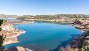 Las aves acuáticas encuentran en los embalses un hábitat cada vez más diverso