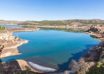 Las aves acuáticas encuentran en los embalses un hábitat cada vez más diverso
