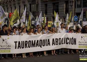 PACMA apunta al desplome de la aceptación social de los toros y la caza en contraste con el aumento de su financiación pública