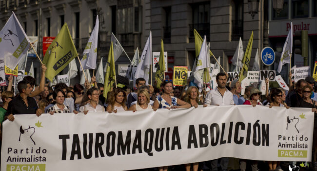 PACMA apunta al desplome de la aceptación social de los toros y la caza en contraste con el aumento de su financiación pública