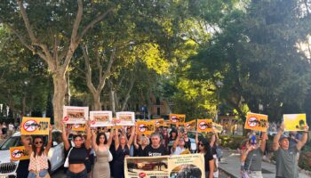 “Hay dinero para toros, caza, carreras de trote y matanza de palomas, pero no para acabar con la explotación de los caballos de las galeras”