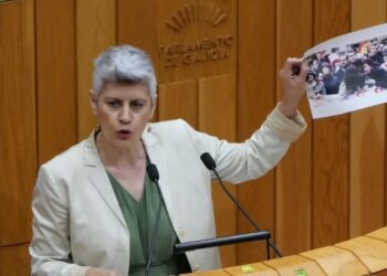 BNG esíxelle ao PP que abandone o negacionismo ante a emerxencia lingüística e desista das políticas desgaleguizadoras