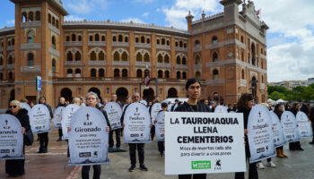 Activistas llevarán lápidas con los nombres de toros muertos a las puertas del Ayuntamiento de Murcia