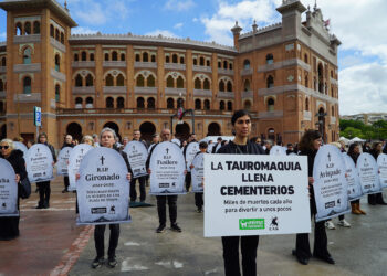 Activistas llevarán lápidas con los nombres de toros muertos a las puertas del Ayuntamiento de Murcia