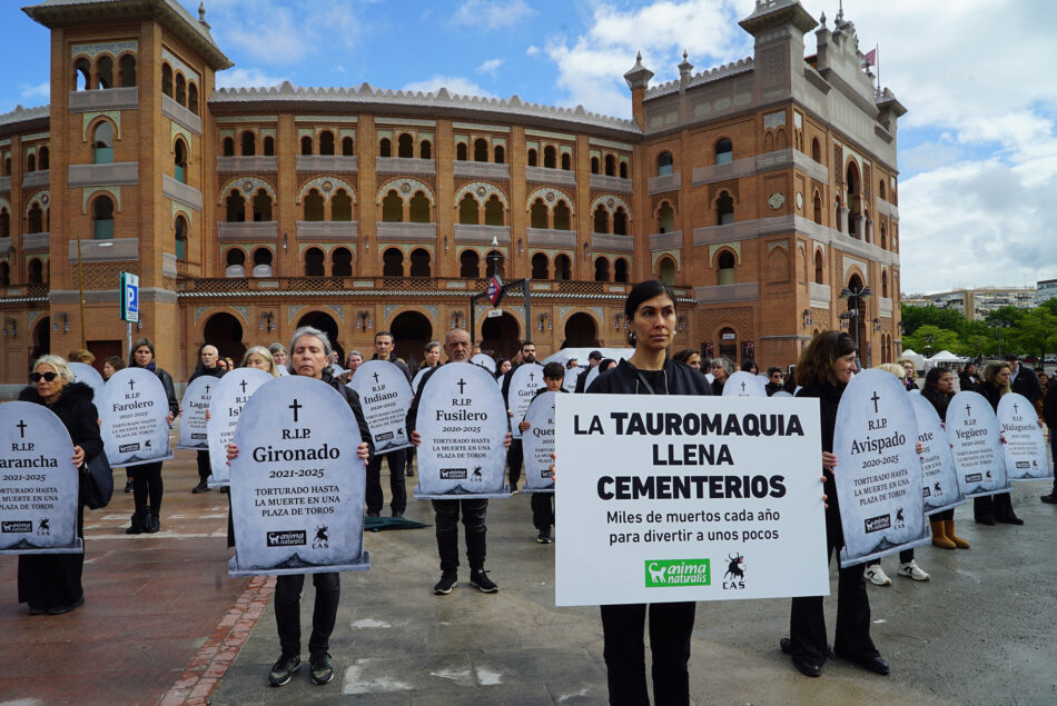 Activistas llevarán lápidas con los nombres de toros muertos a las puertas del Ayuntamiento de Murcia