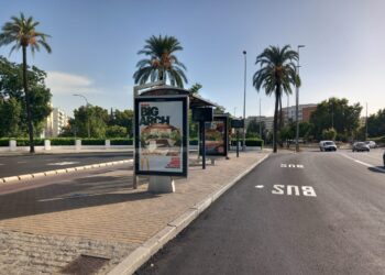El Partido Verde propone un Plan de Sombra en las paradas de autobús frente a las altas temperaturas en Córdoba​