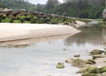 «Las playas asturianas llevan 17 días sin control en la calidad de sus aguas»