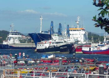 Ecologistas reclaman la descarbonización de la flota pesquera de la UE sin ampliar límites de capacidad de capturas