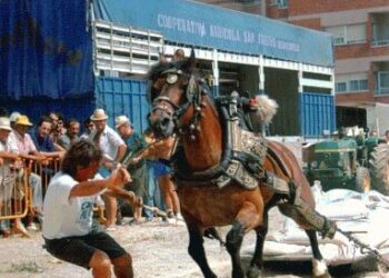 Activistas por los derechos animales exigen en Valencia el fin del tiro y arrastre frente al Ayuntamiento