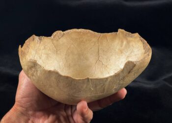 Tres cuevas granadinas revelan que el canibalismo pudo ser una práctica recurrente en el Neolítico