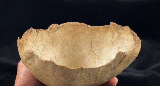 Tres cuevas granadinas revelan que el canibalismo pudo ser una práctica recurrente en el Neolítico