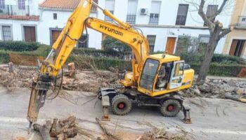 Ecologistas en Acción de Extremadura presenta los resultados de la campaña «Plazas Infernales» con termómetros que confirman hasta 25 grados de diferencia entre el asfalto y la sombra de los árboles