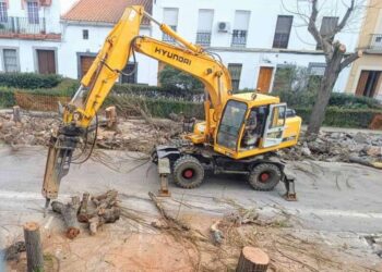 Ecologistas en Acción de Extremadura presenta los resultados de la campaña «Plazas Infernales» con termómetros que confirman hasta 25 grados de diferencia entre el asfalto y la sombra de los árboles