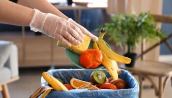 FAO llama a reducir pérdidas de alimentos en América Latina