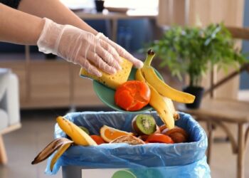 FAO llama a reducir pérdidas de alimentos en América Latina