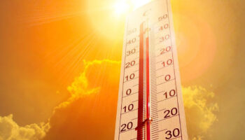 Ecologistas Extremadura exige la adaptación de colegios, institutos y universidades al cambio climático