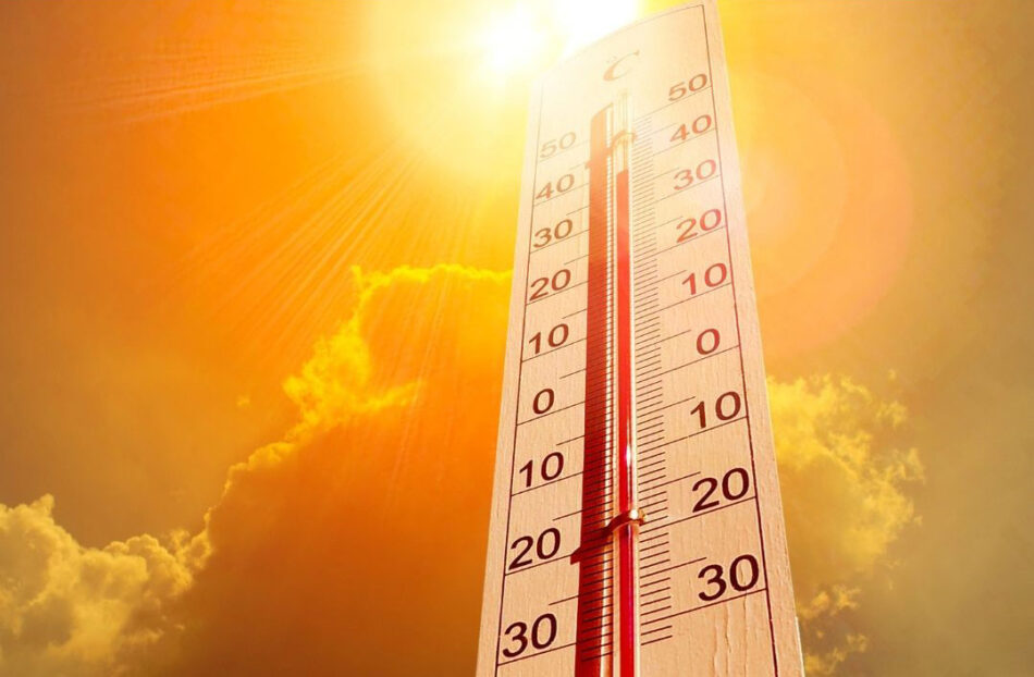 Ecologistas Extremadura exige la adaptación de colegios, institutos y universidades al cambio climático