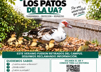 La Plataforma de Ayuda a la Fauna de la Universidad de Alicante (PAFUA) pide a la UA que reconsidere su negativa a la concentración del 23 de septiembre frente al Rectorado