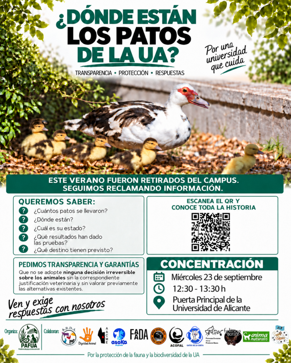 La Plataforma de Ayuda a la Fauna de la Universidad de Alicante (PAFUA) pide a la UA que reconsidere su negativa a la concentración del 23 de septiembre frente al Rectorado