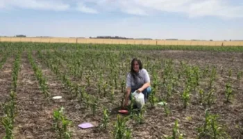 Milei busca inhabilitar a científica que halló agrotóxicos en el 86 % de los argentinos
