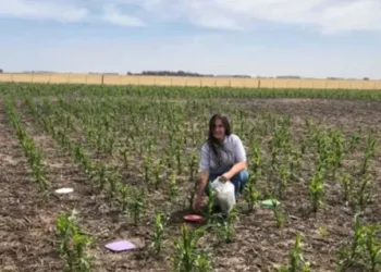 Milei busca inhabilitar a científica que halló agrotóxicos en el 86 % de los argentinos