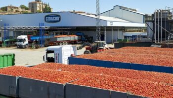 CNT denuncia el accidente de una trabajadora en la fábrica Cidacos de Coria (Cáceres)