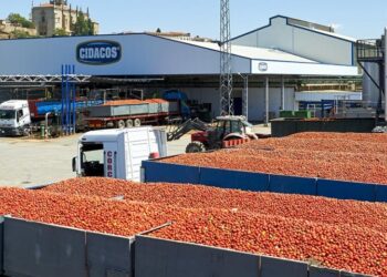 CNT denuncia el accidente de una trabajadora en la fábrica Cidacos de Coria (Cáceres)