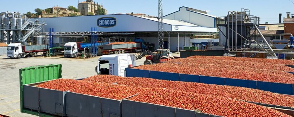 CNT denuncia el accidente de una trabajadora en la fábrica Cidacos de Coria (Cáceres)