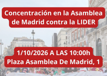 Concentración contra la aprobación de la ley LIDER, que mañana se debate en la Asamblea de Madrid