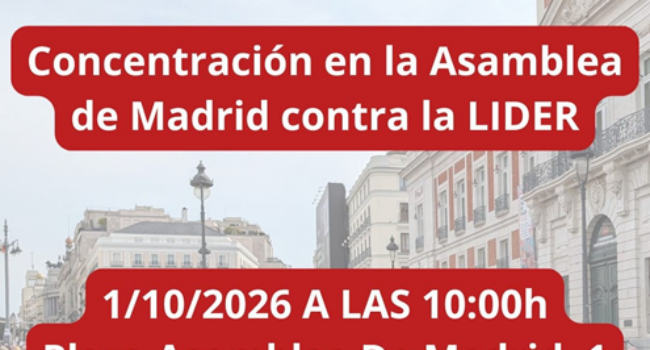 Concentración contra la aprobación de la ley LIDER, que mañana se debate en la Asamblea de Madrid