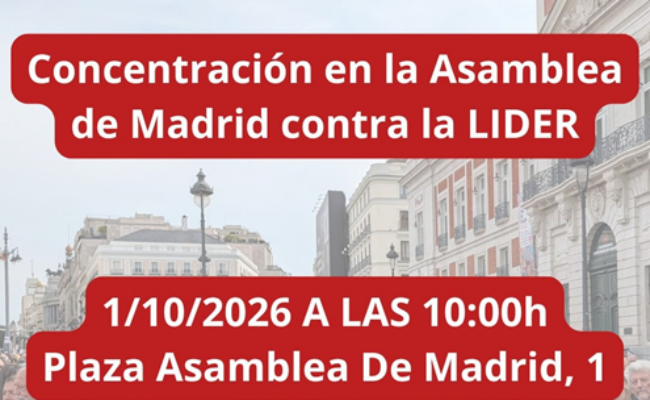 Concentración contra la aprobación de la ley LIDER, que mañana se debate en la Asamblea de Madrid