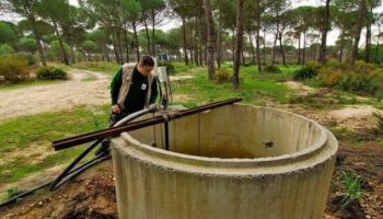 Alianza Verde considera bochornoso el archivo del caso de los pozos ilegales de la Casa de Alba junto a Doñana y señala que robar agua no puede quedar impune