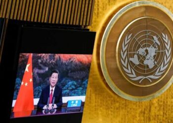 Iniciativa de Desarrollo Global (IDG): respuesta de China a la fractura del multilateralismo