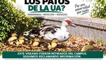 La Plataforma de Ayuda a la Fauna de la Universidad de Alicante (PAFUA) pide a la UA que reconsidere su negativa a la concentración del 23 de septiembre frente al Rectorado