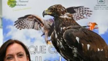 ASANDA pide a la Junta de Andalucía que aclare por qué una consejera aparece sosteniendo un ave rapaz en Ibercaza