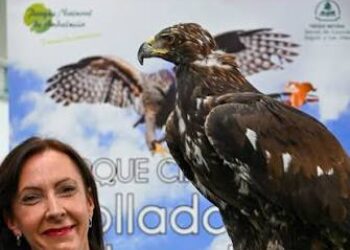 ASANDA pide a la Junta de Andalucía que aclare por qué una consejera aparece sosteniendo un ave rapaz en Ibercaza