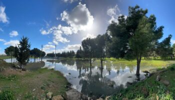 La Confederación Hidrográfica frena el proyecto urbanístico de Santa Bárbara en Sevilla