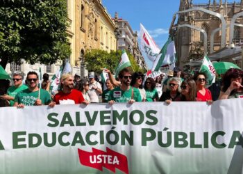 USTEA denuncia recursos insuficientes para el alumnado con necesidades específicas y exige a la Junta una inversión estructural en personal