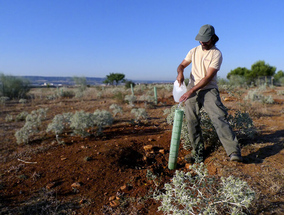 Reforesta lanza «Contra el Fuego, Contra la Desinformación» para combatir los bulos sobre los incendios forestales