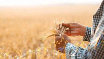 Crecen las exportaciones agrícolas rusas a Sudamérica