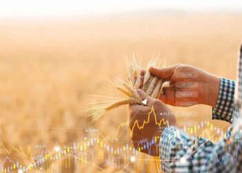 Crecen las exportaciones agrícolas rusas a Sudamérica