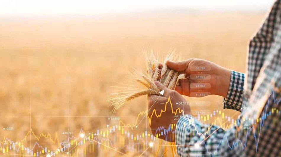 Crecen las exportaciones agrícolas rusas a Sudamérica
