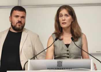 Els Comuns proposen endurir el control de les armes blanques i de foc