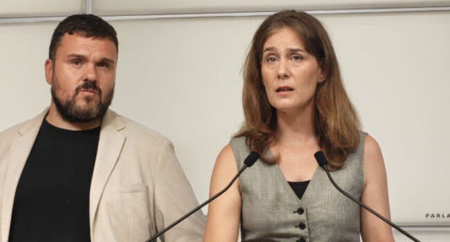 Els Comuns proposen endurir el control de les armes blanques i de foc