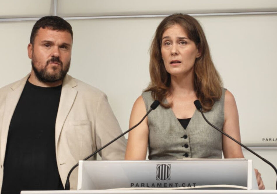 Els Comuns proposen endurir el control de les armes blanques i de foc