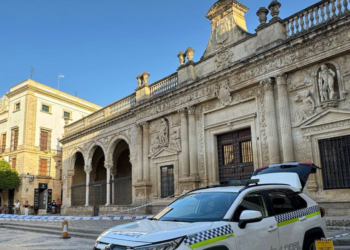 Ganemos Jerez pide aclarar si imágenes del dron de la Policía Local fueron utilizadas en un vídeo político de García-Pelayo