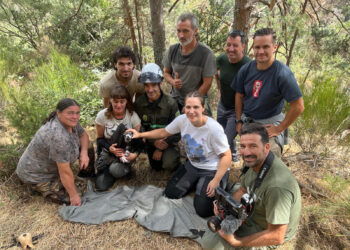 Doce jóvenes buitres han sido equipados con emisor GPS en una temporada reproductora de récord en la Sierra de la Demanda